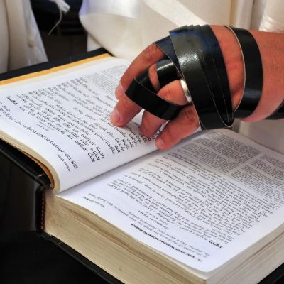 דף הבית 11 דף הבית 11